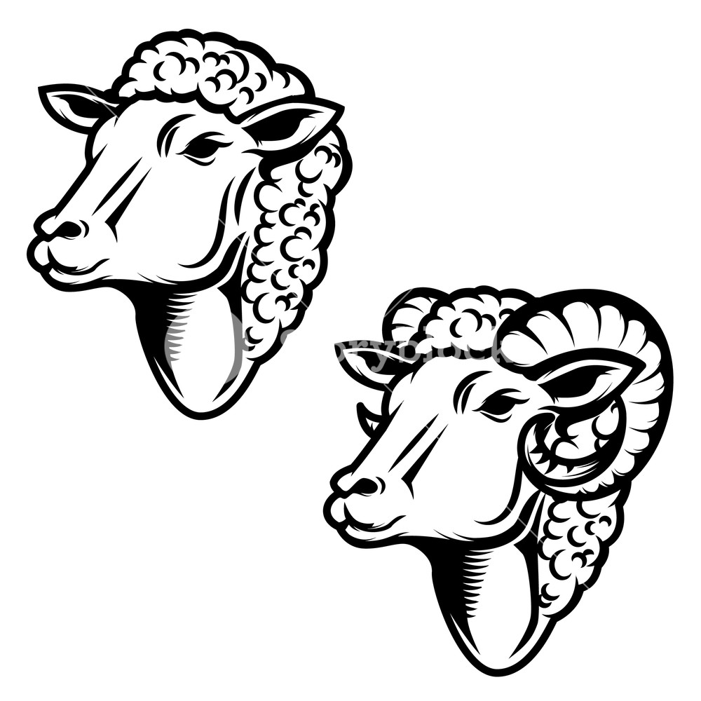 Sheep Logo Vector at Vectorified.com | Collection of Sheep Logo Vector