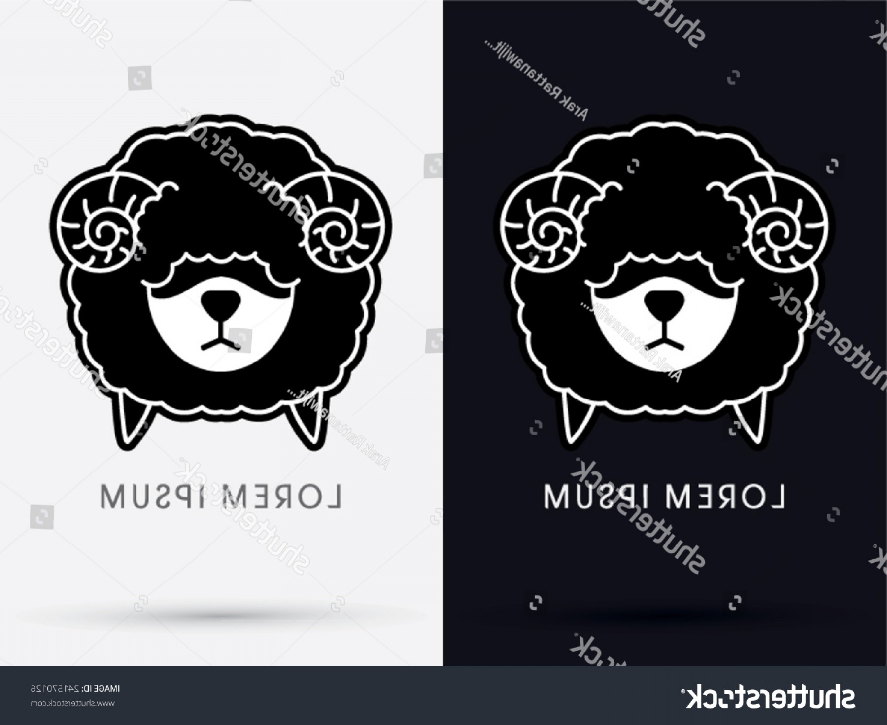 1800x1470 Vector Hip Curve Catamart