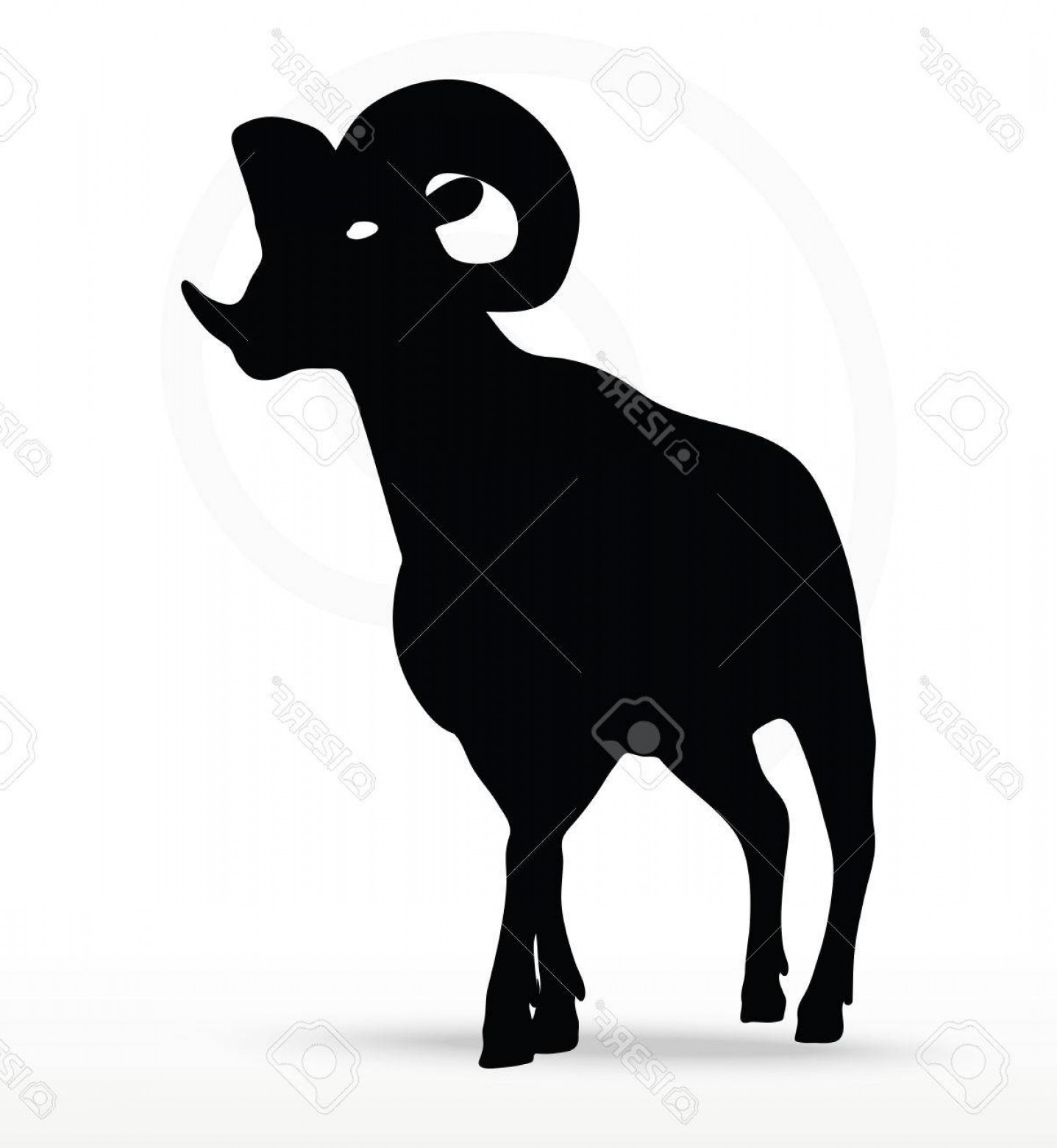 1437x1560 Photostock Vector Big Horn Sheep Silhouette In Walking Pose
