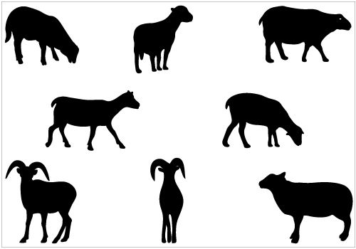 500x350 Sheep Silhouette Vector Animal Vector Graphics Sheep