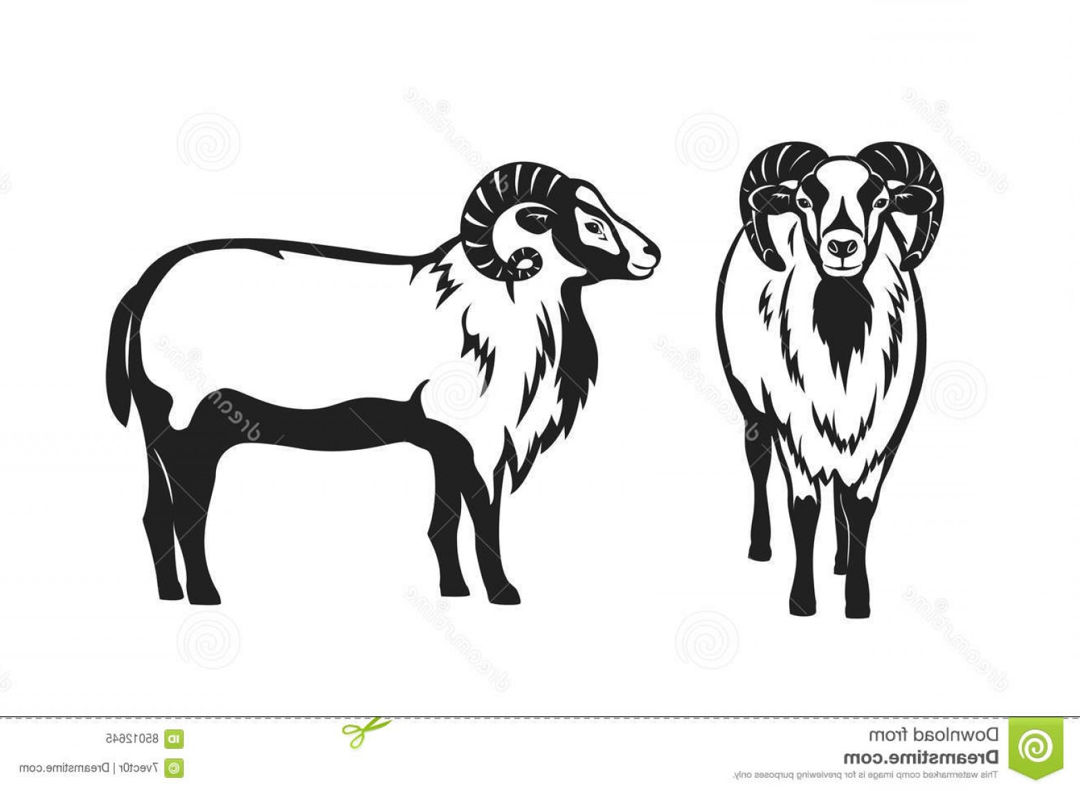 Орнамент овца