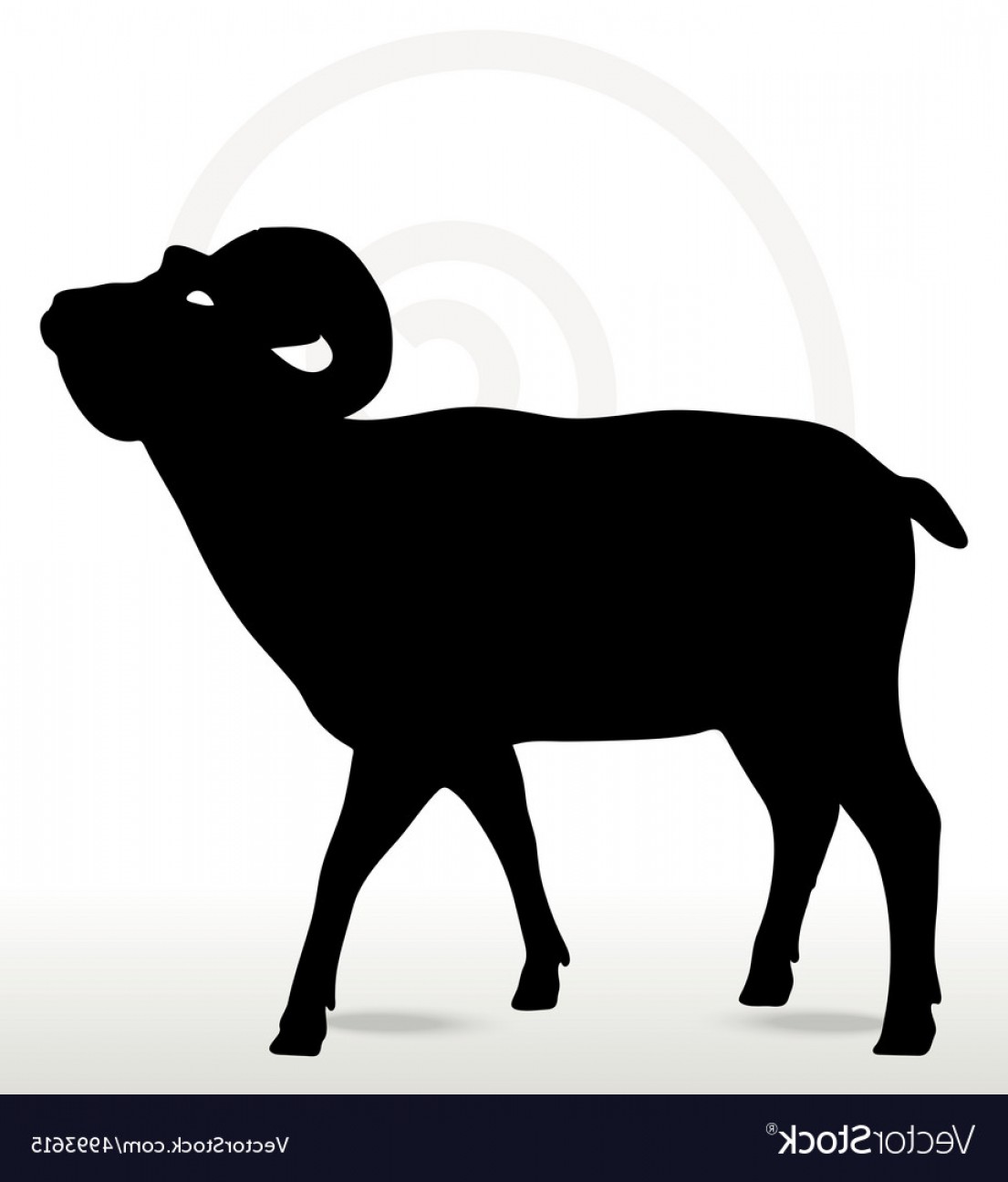 1105x1296 Big Horn Sheep Silhouette In Face Upward Pose Vector Hoodamathrun
