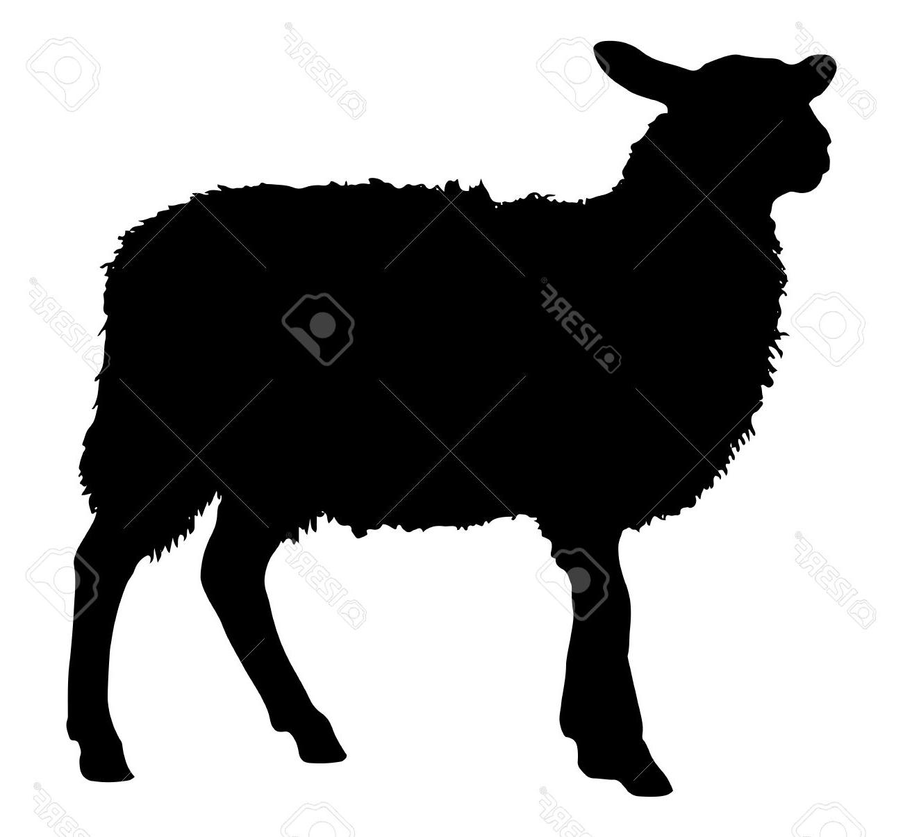 1300x1205 Unique Sheep Silhouette Clip Art Free Photos Free Vector Art
