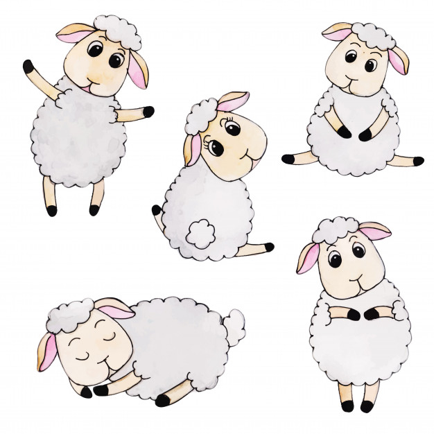 Sheep Vectors, Photos And Free Download 626x626 Sheep Vectors, Photos And Free Download