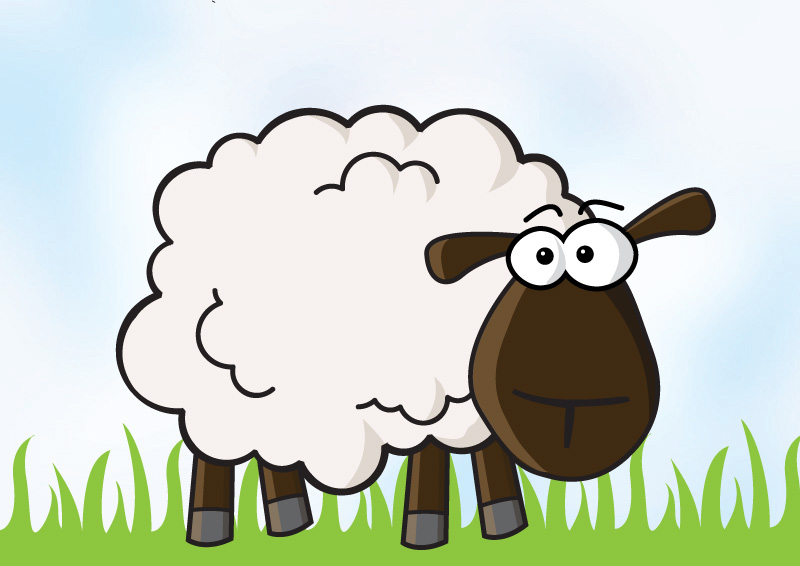 Sheep Vector Illustration 800x566 Sheep Vector Illustration