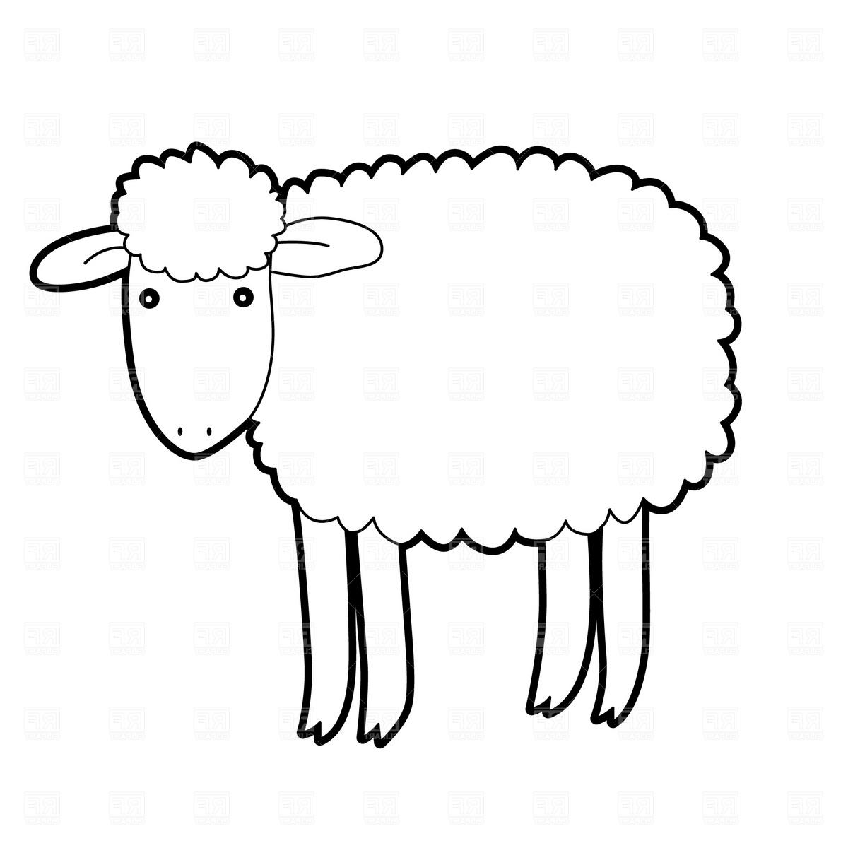 Simple Sheep Drawing at Explore collection of