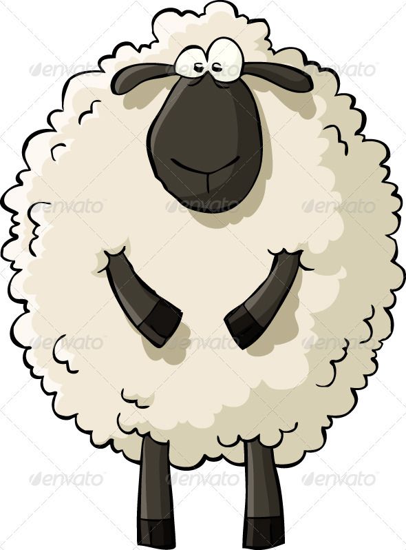 590x798 Baby Sheep Drawing, Sheep Cartoon