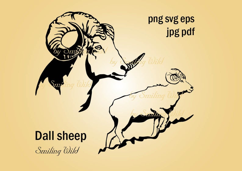 794x561 Dall Sheep Clipart Thinhorn Sheep Vector Graphic Art Stone Etsy