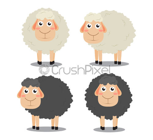 Cute Cartoon Black And White Sheep Vector Set Isolated On, Stock 500x458 Cute Cartoon Black And White Sheep Vector Set Isolated On, Stock
