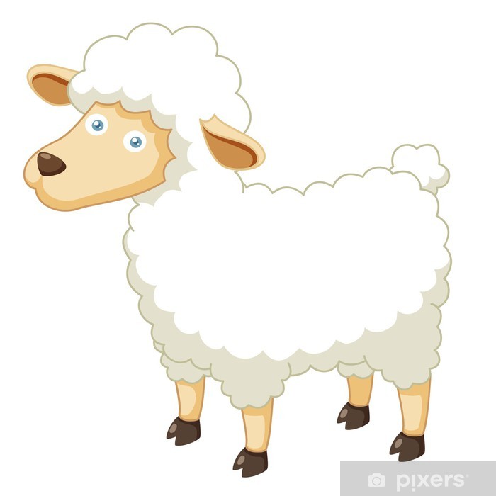 Illustration Of A Cartoon Sheep Vector Wall Mural We 700x700 Illustration Of A Cartoon Sheep Vector Wall Mural We