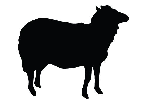 Collection Of 'sheep Vector Silhouette' Download More Than 500x350 Collection Of 'sheep Vector Silhouette' Download More Than
