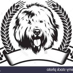 Old English Sheepdog Dog Breed Pet Puppy Isolated Head Face Image 300x300 Old English Sheepdog Dog Breed Pet Puppy Isolated Head Face Image