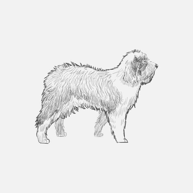 Old English Sheepdog Vectors, Photos And Free Download 626x626 Old English Sheepdog Vectors, Photos And Free Download