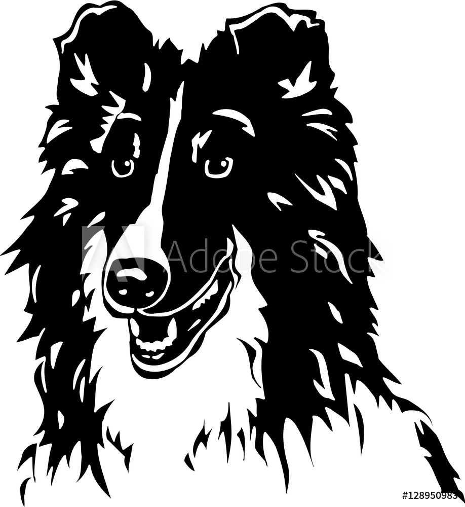 Photo Art Print Shetland Sheepdog Vinyl Ready Vector 918x1000 Photo Art Print Shetland Sheepdog Vinyl Ready Vector