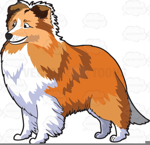 Shetland Sheepdog Clipart Free Images 300x289 Shetland Sheepdog Clipart Free Images