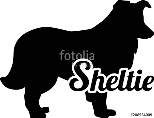 Shetland Sheepdog Sheltie Silhouette Real Word Stock Image 500x385 Shetland Sheepdog Sheltie Silhouette Real Word Stock Image
