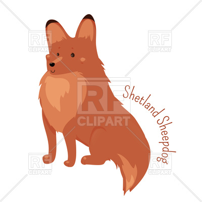 Shetland Sheepdog Vector Image Of Plants And Animals Kannaa 400x400 Shetland Sheepdog Vector Image Of Plants And Animals Kannaa