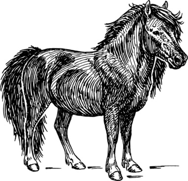 Shetland Sheepdog Free Vector Download 382x368 Shetland Sheepdog Free Vector Download