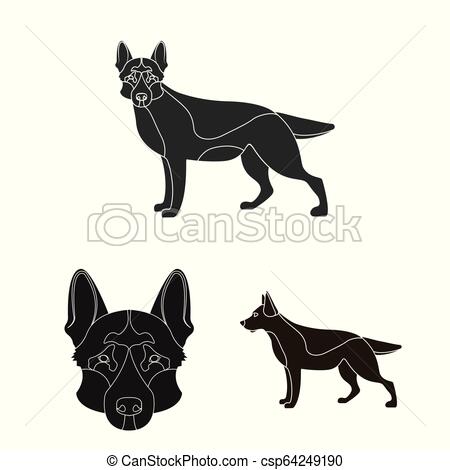 Vector Illustration Of And Sheepdog Icon Set Of And German Vector 450x470 Vector Illustration Of And Sheepdog Icon Set Of And German Vector