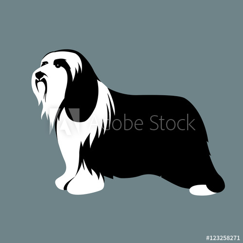Polish Low Land Sheepdog Vector Illustration Style 500x500 Polish Low Land Sheepdog Vector Illustration Style