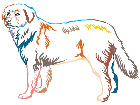 Colorful Contour Decorative Portrait Of Standing In Profile 450x338 Colorful Contour Decorative Portrait Of Standing In Profile