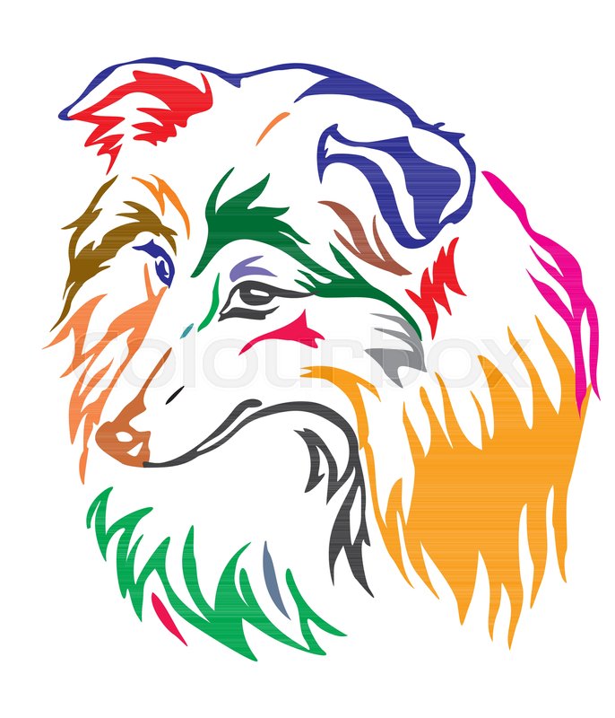 Colorful Decorative Portrait Of Dog Stock Vector Colourbox 686x800 Colorful Decorative Portrait Of Dog Stock Vector Colourbox