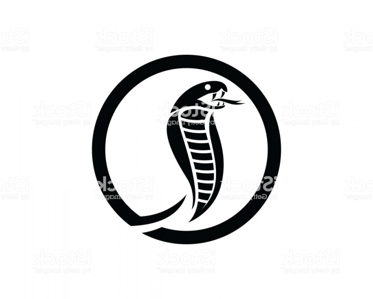 Shelby Cobra Logo Vector at Vectorified.com | Collection of Shelby ...