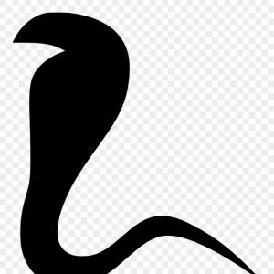 300x300 Mustang Logo Eee Seeklogo Com Within Shelby Cobra Vector