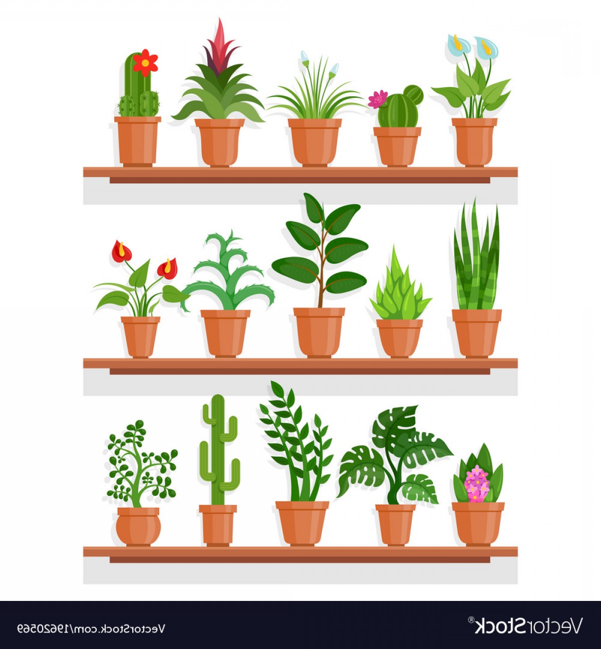 1200x1296 Indoor Plants On Shelf Vector Hoodamathrun