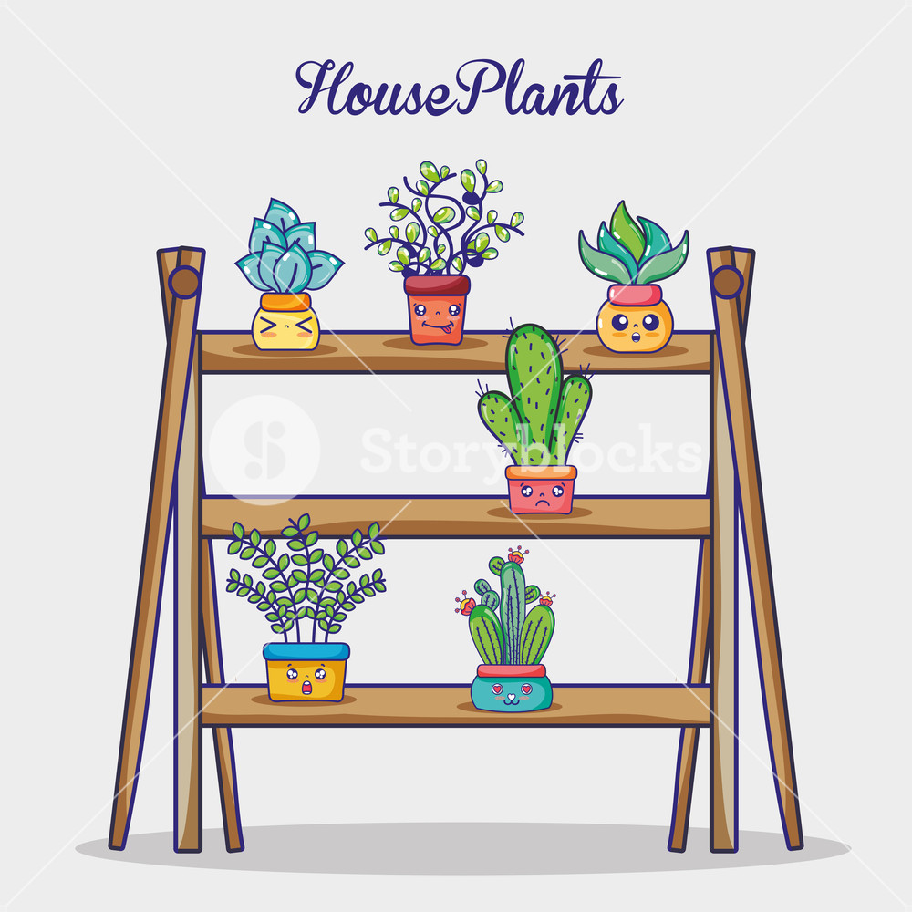 1000x1000 Natural Plants House In Wooden Shelf Vector Illustration Royalty