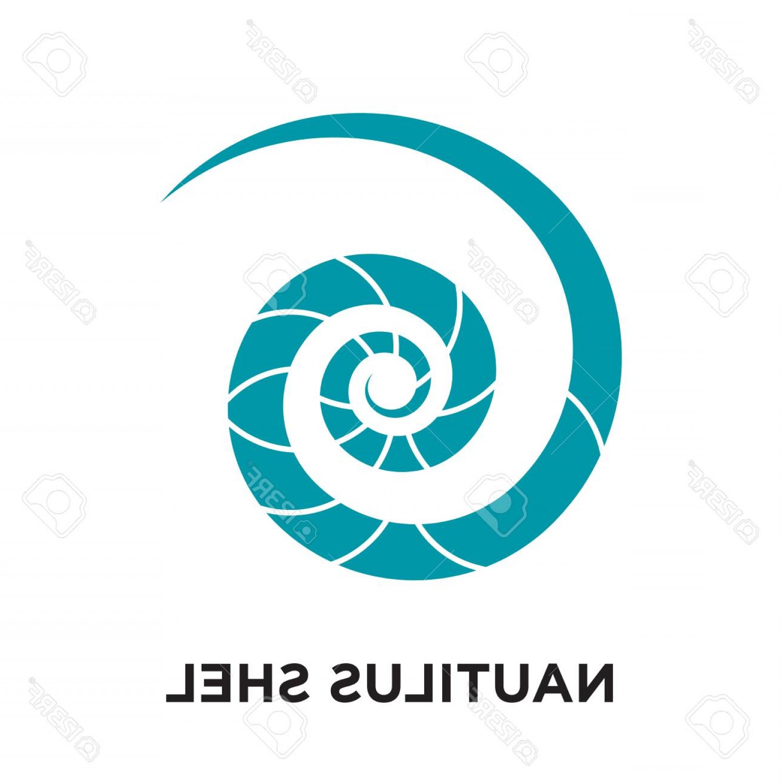 1560x1558 Photostock Vector Nautilus Shell Logo Isolated On White Background