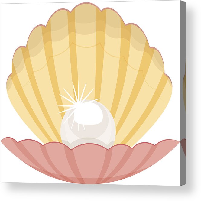 665x665 Pearl In A Shell Vector Illustration Isolated On White Background