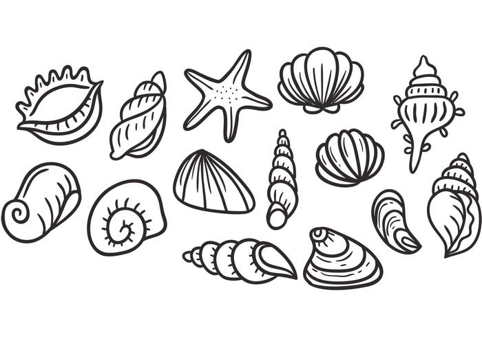 700x490 Pearl Shell Vectors