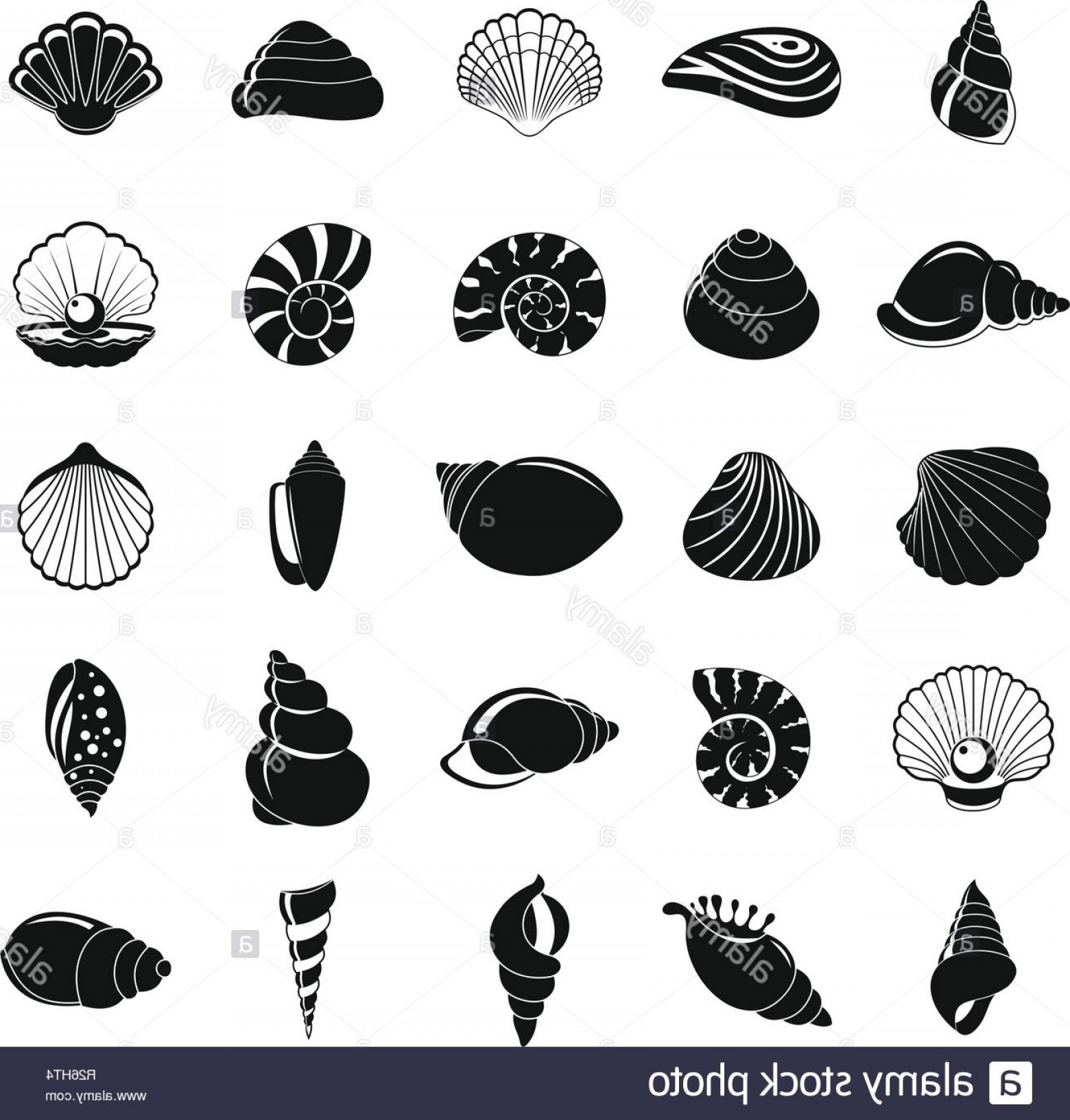 1560x1633 Sea Shell Icons Set Simple Illustration Of Sea Shell Vector Icons