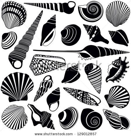 450x469 Shell Collection
