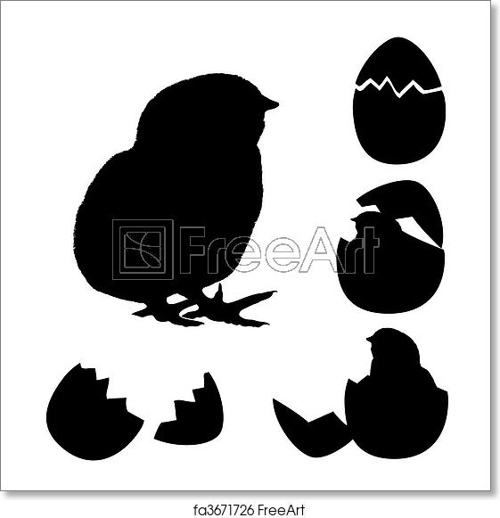 561x581 Free Art Print Of Newborn Chick With Egg's Shell Vector