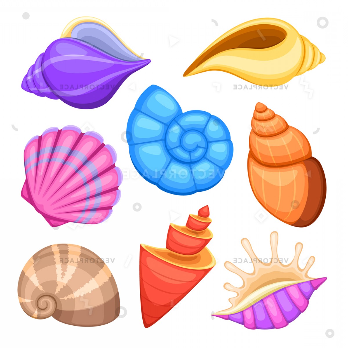 Shell Vector at Vectorified.com | Collection of Shell Vector free for ...