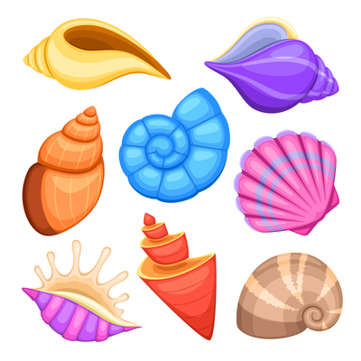 400x400 Page Shell On Curated Vector Illustrations, Stock Royalty Free