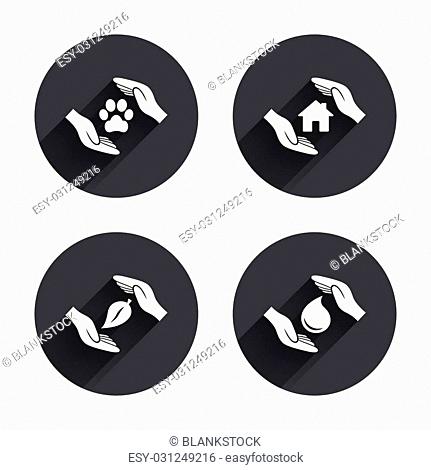 431x470 Animal Shelter Vector Stock Photos And Images Age Fotostock