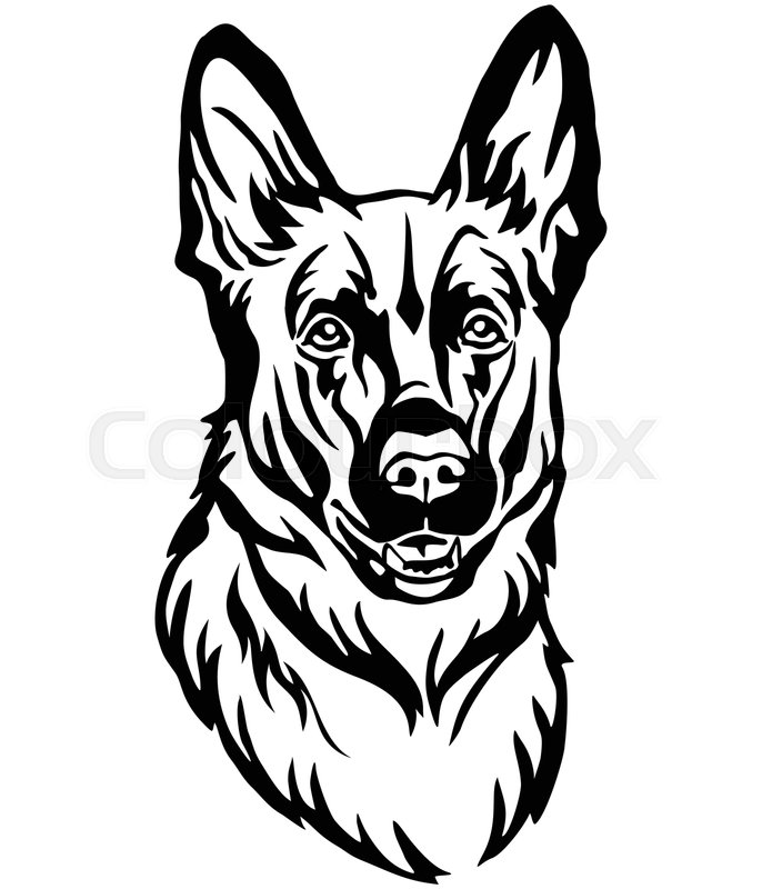 686x800 Decorative Portrait Of Dog German Stock Vector Colourbox