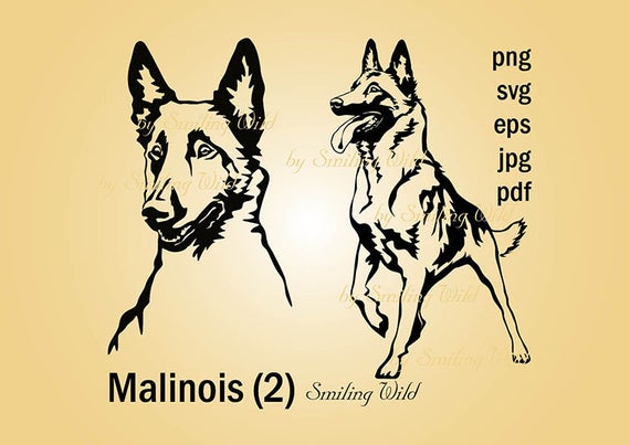 570x403 Malinois Art Dog Png Clipart Belgian Shepherd Vector Etsy