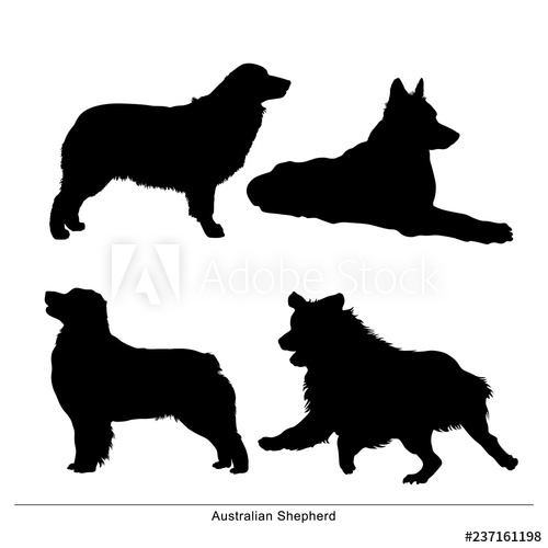 500x500 Australian Shepherd Breed Dog Vector Silhouette Of The Dog