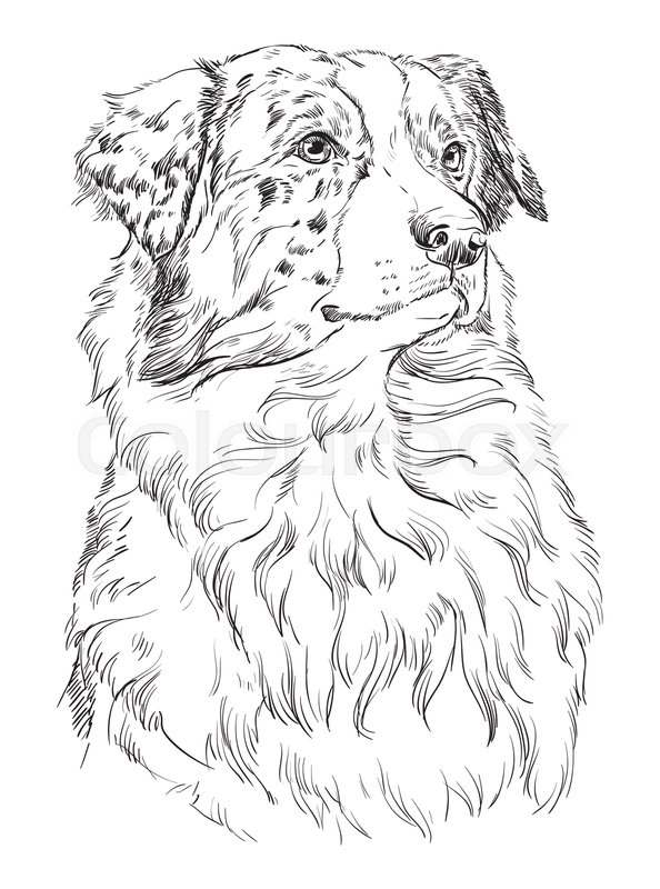 Shepherd Vector at Vectorified.com | Collection of Shepherd Vector free