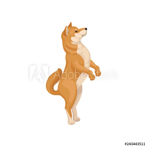 500x500 Detailed Flat Vector Icon Of Funny Shiba Inu Standing On Hind Legs