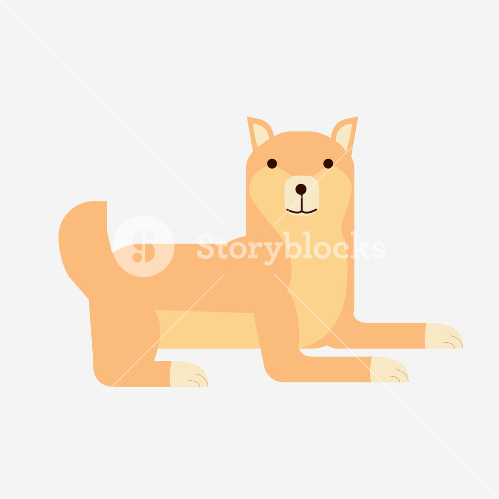 1000x1000 Cute Cartoon Japanese Shiba Inu Dog Vector Flat Shiba Inu Dog