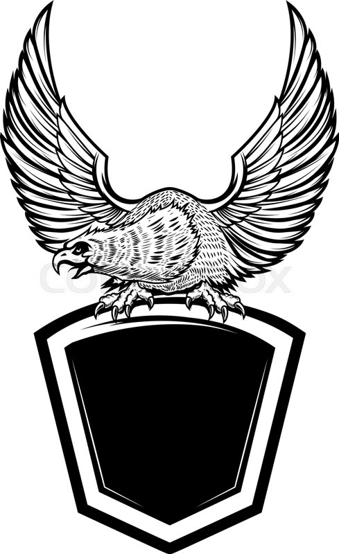 489x800 Eagle Bird On Blank Shield Design Stock Vector Colourbox
