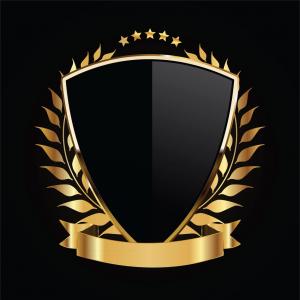 300x300 Black Shield Png Images