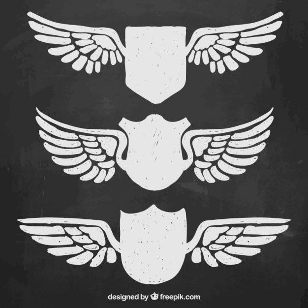 626x626 Shield Wings Vectors, Photos And Free Download