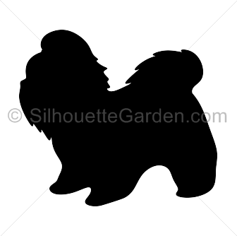 Shih Tzu Silhouette Vector
