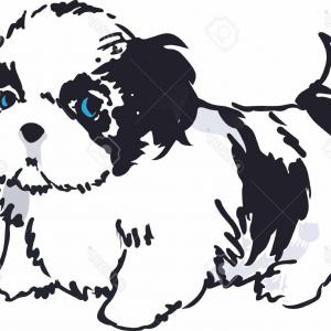 300x300 Shih Tzu Silhouette Clipart Cut Out Catchsplace